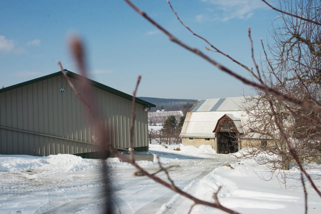 BigHill Ciderworks | Alexandra Whitney Photography