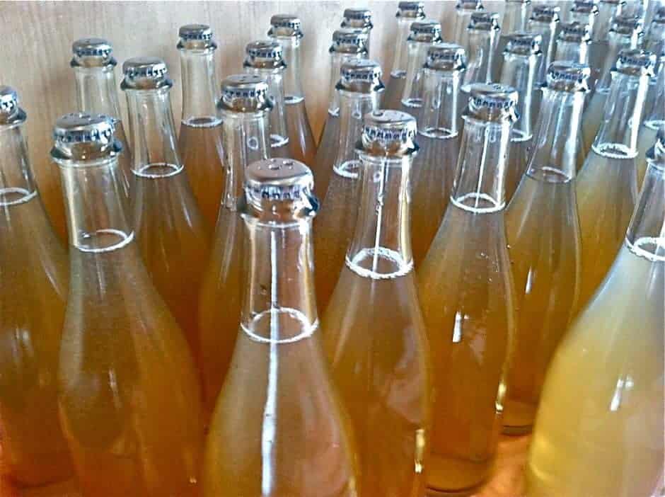 Cider bottles