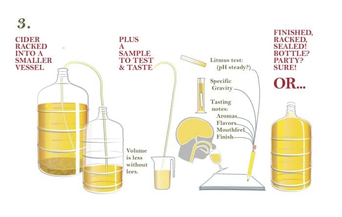 How to Make Your Own Cider (The Abbreviated Version ...