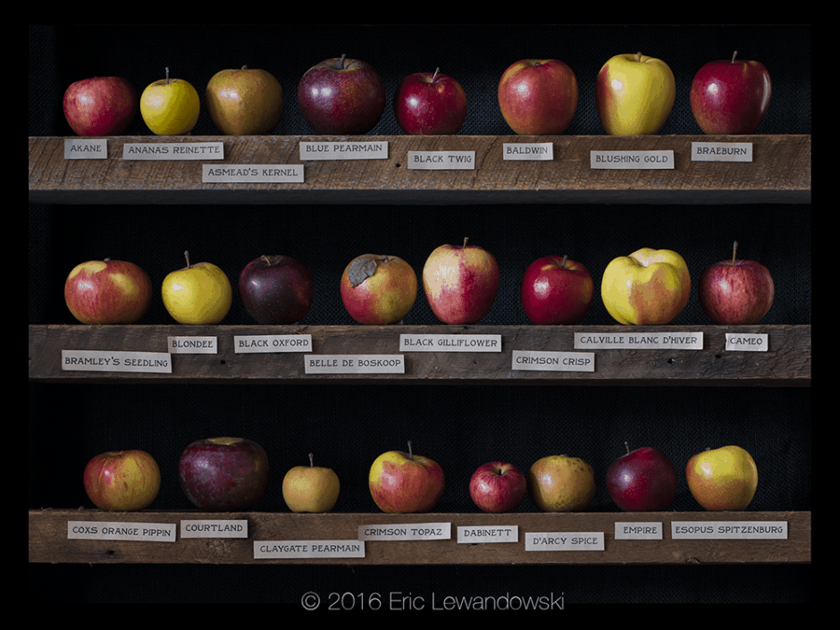 Apple Varieties