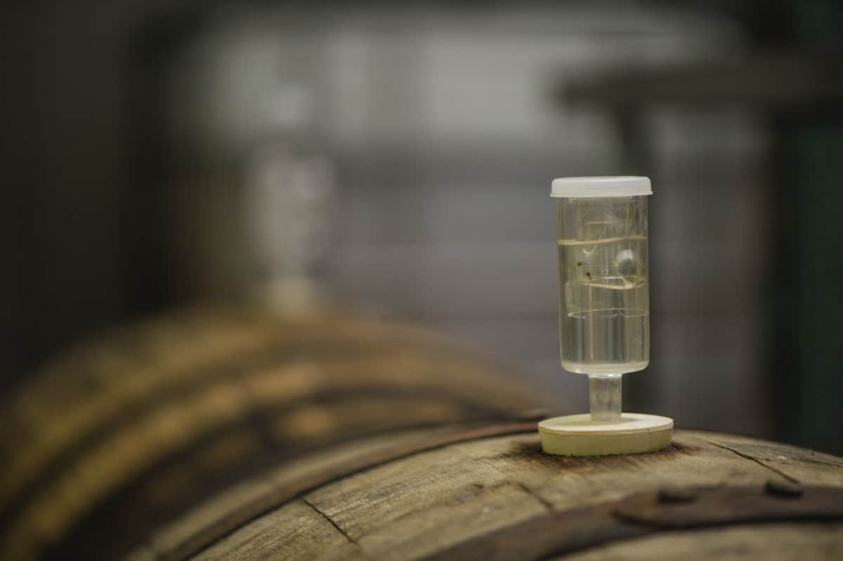 Marketing Practices Changing to Meet Growing Cider Industry Demands