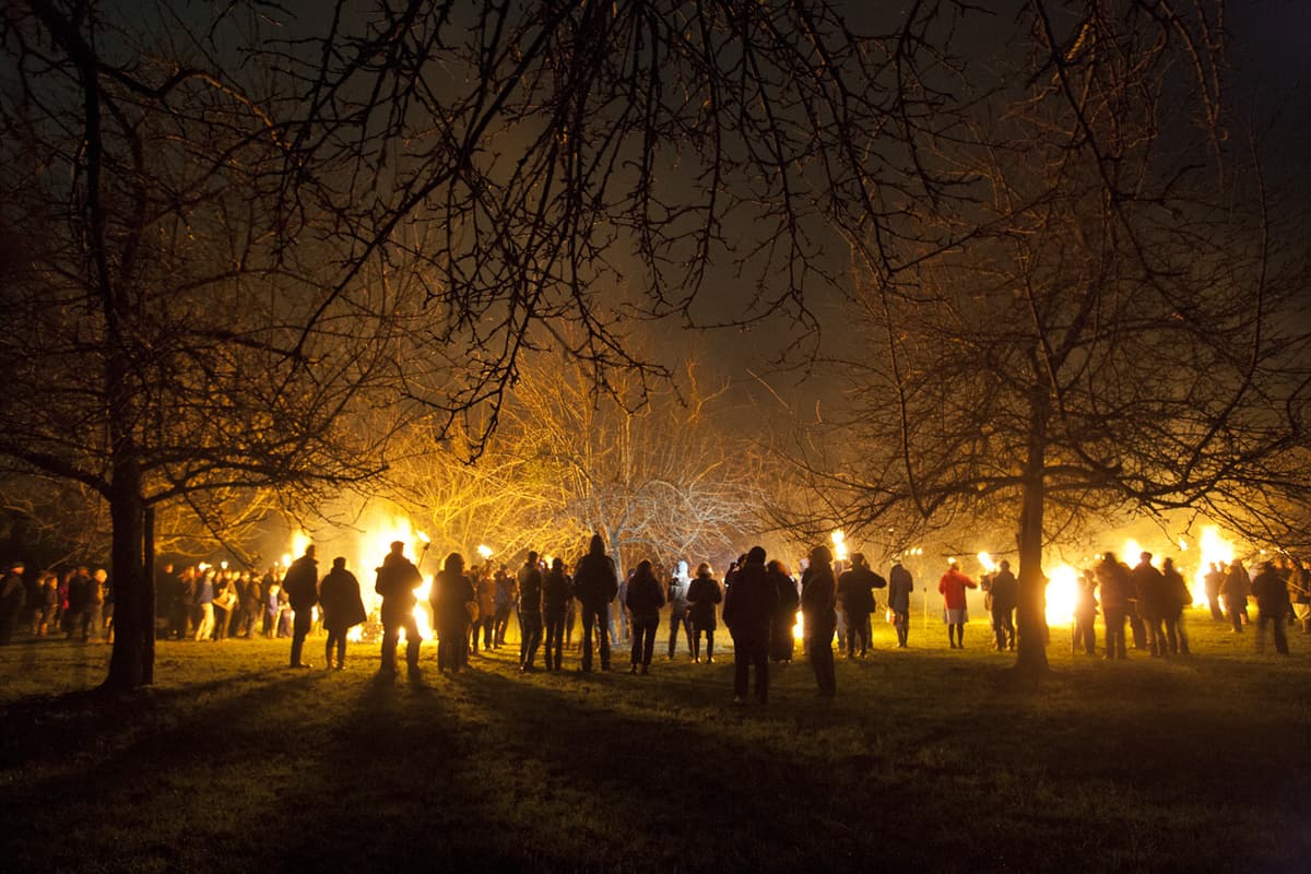 Wassail 2016