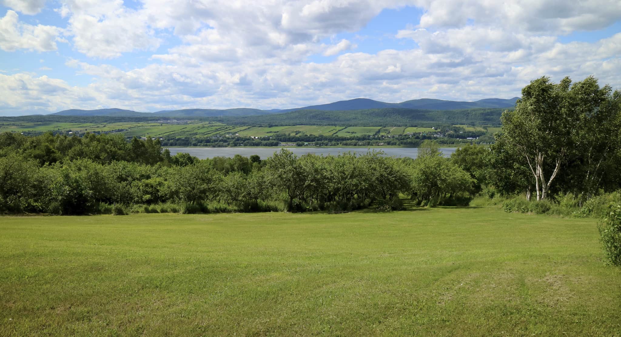 Quebec_Domaine Steinbach_orchard