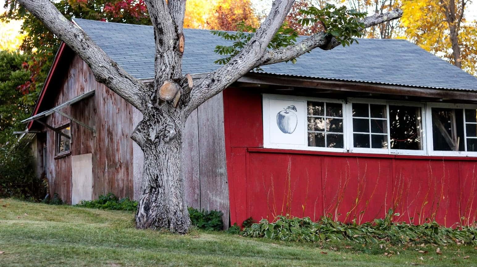 Deck the Halls with Bottles of Cider A Few New Maine Cideries Cider