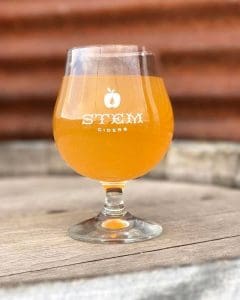The Northern Spy
