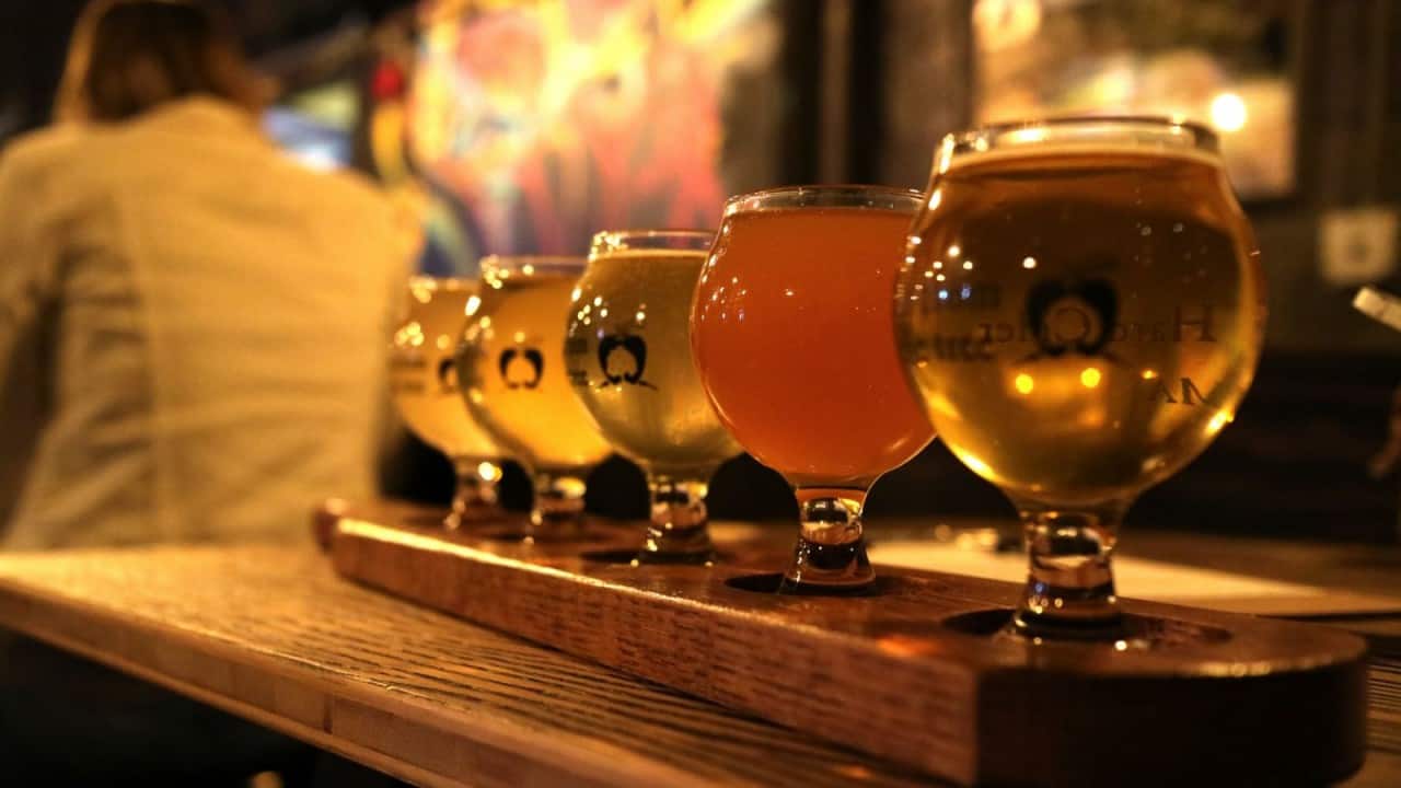 Cider Travels Wicked Fresh Cider in Boston Cider Culture