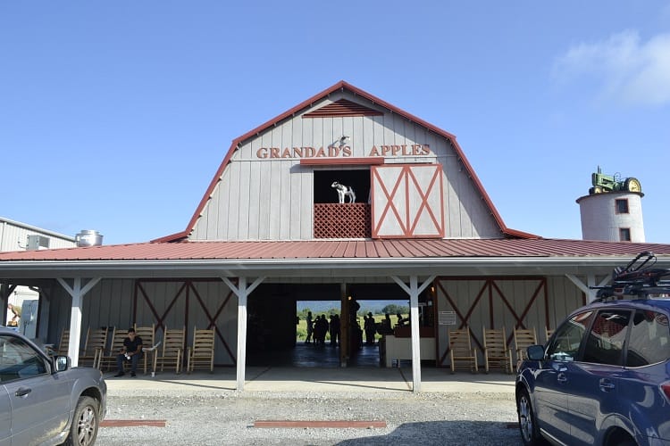 Cider in Hendersonville