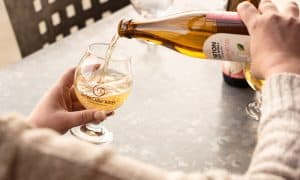 Certified Cider Professional Program