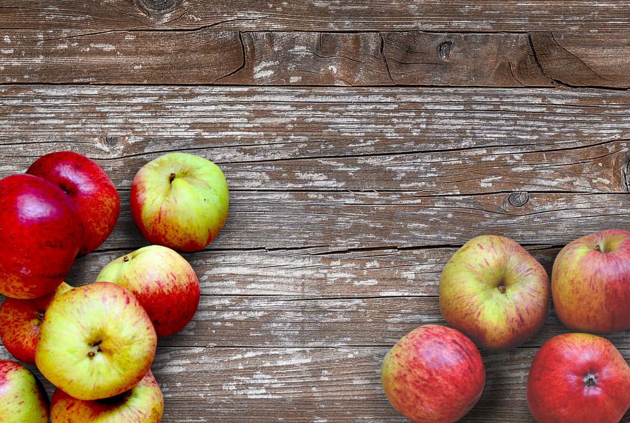 Cider Class Olympia