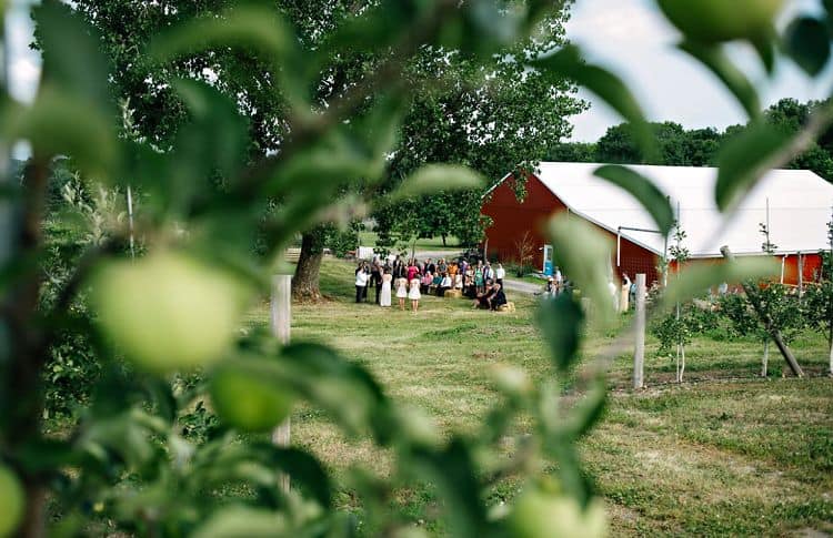 Cidery Weddings