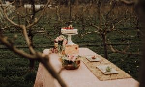 Cidery Weddings