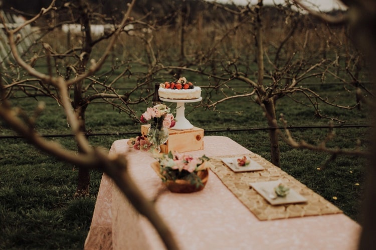 Cidery Weddings