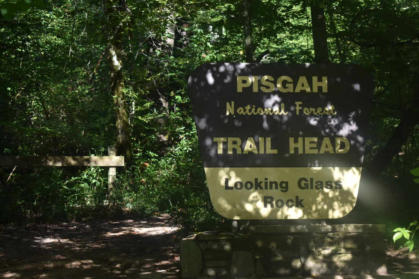 Pisgah National Forest