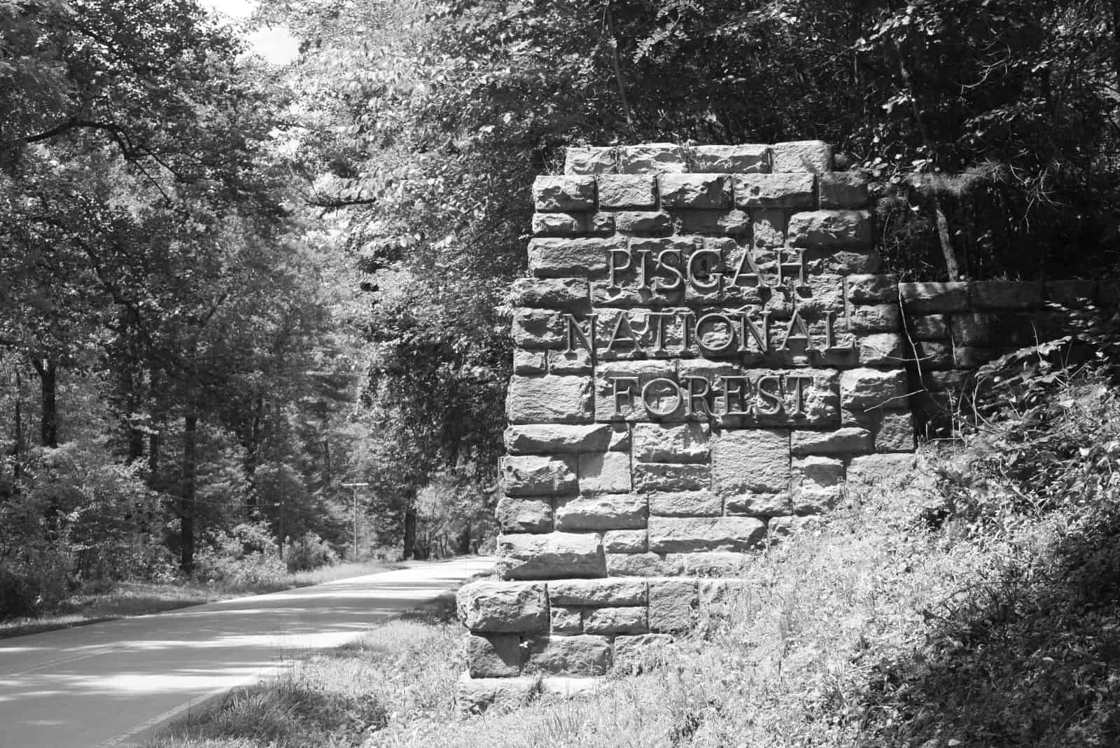 Pisgah National Forest