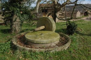 Cider-Pressing Equipment: A History | Juicing.Systems Mobile Cider Pressing