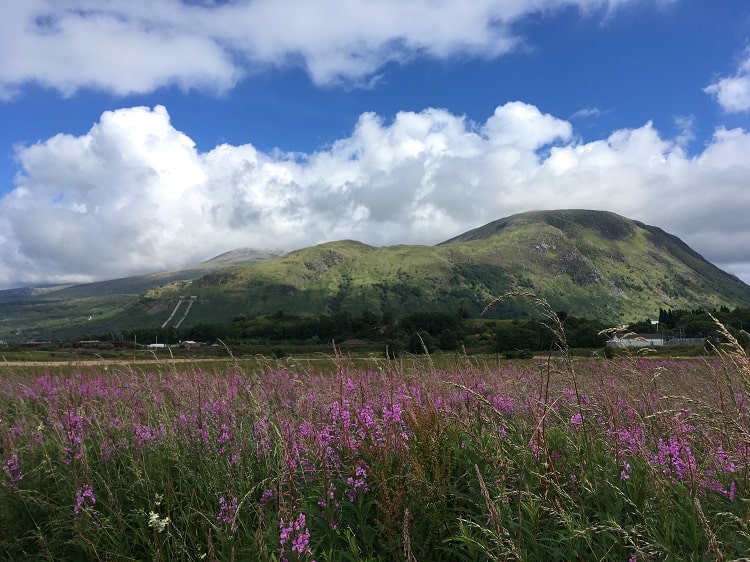 cider in Scotland