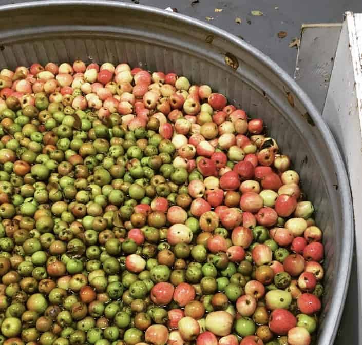 PDX Apple Recycling