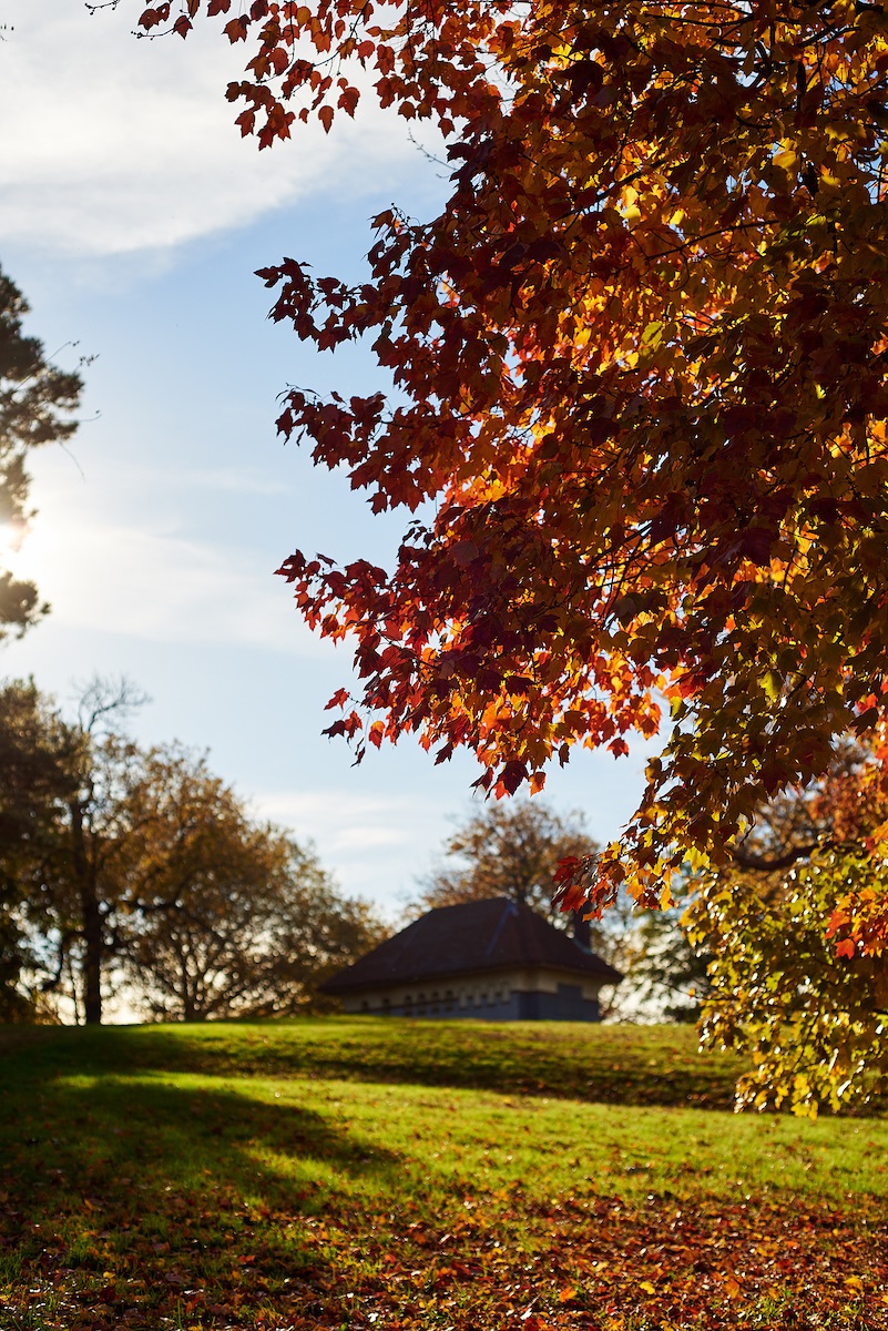 CiderFest at Fairmount Park