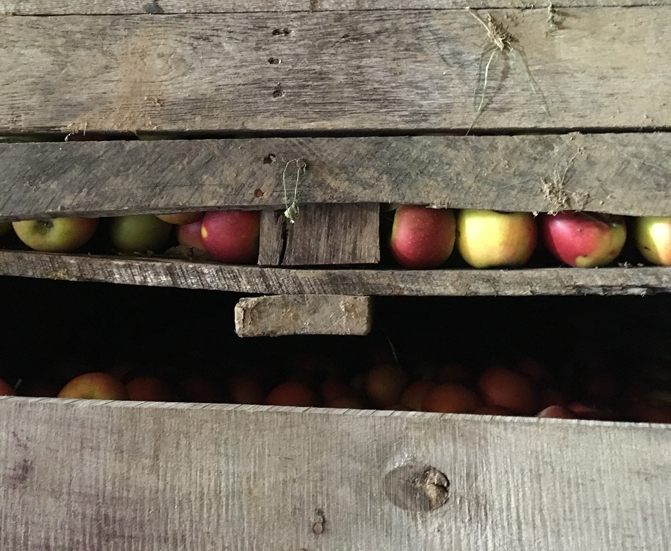 Angry Orchard Innovation Cider House