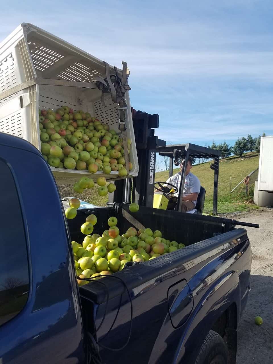 Harvest Ciders