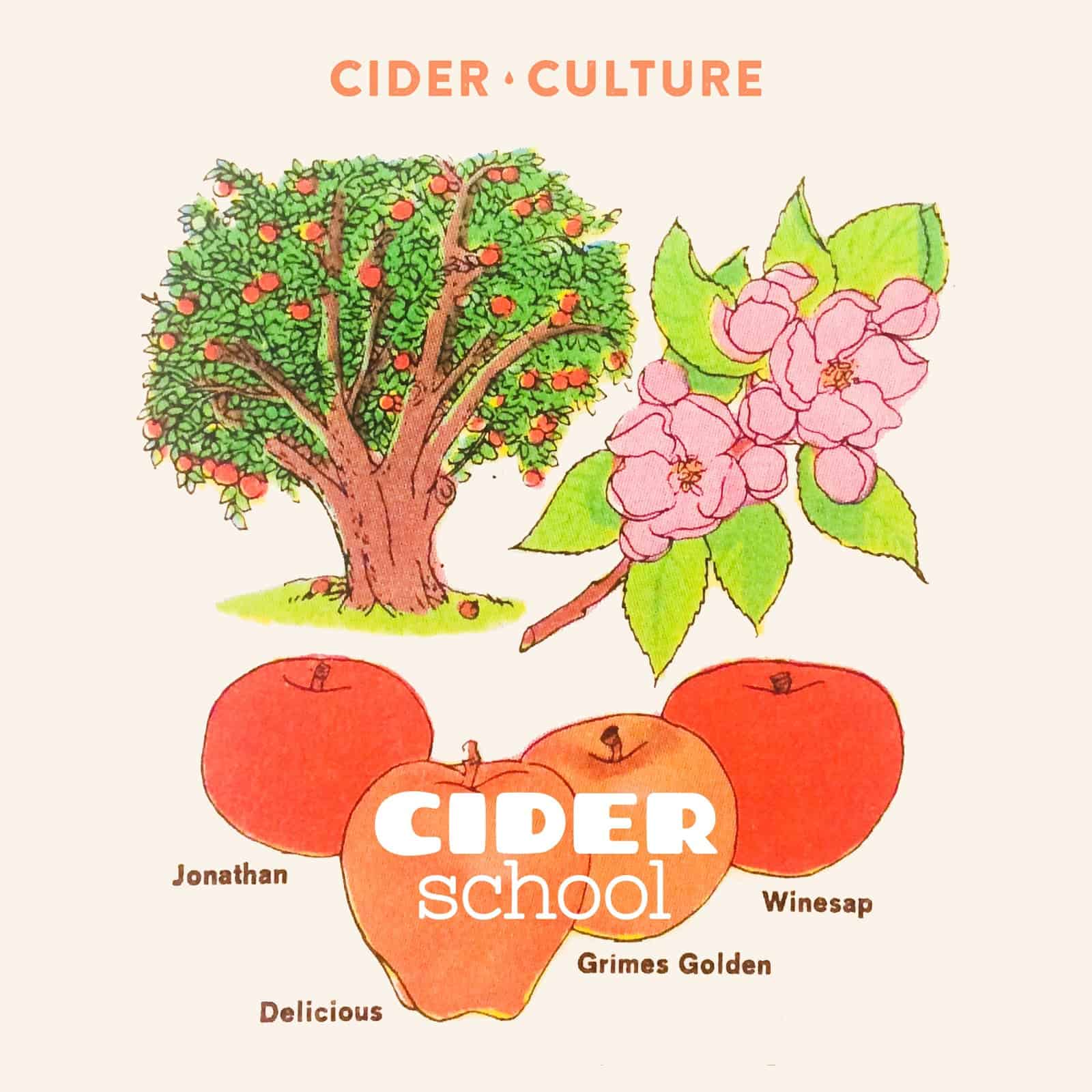 Cider School