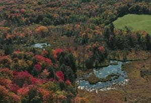 Vermont Terroir Cider