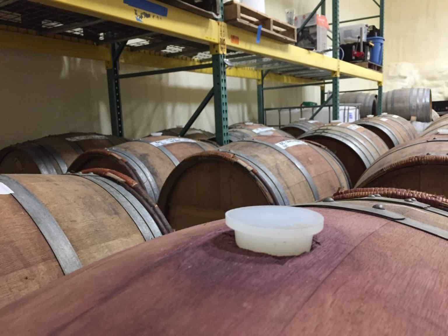 Cider Education Fermentation 101 How Fermentation Works in Cider