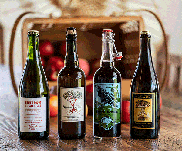 "Chopped" Winner Seeks Funding for Massachusetts Cidery Cider Culture