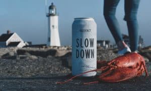 Artifact Cider