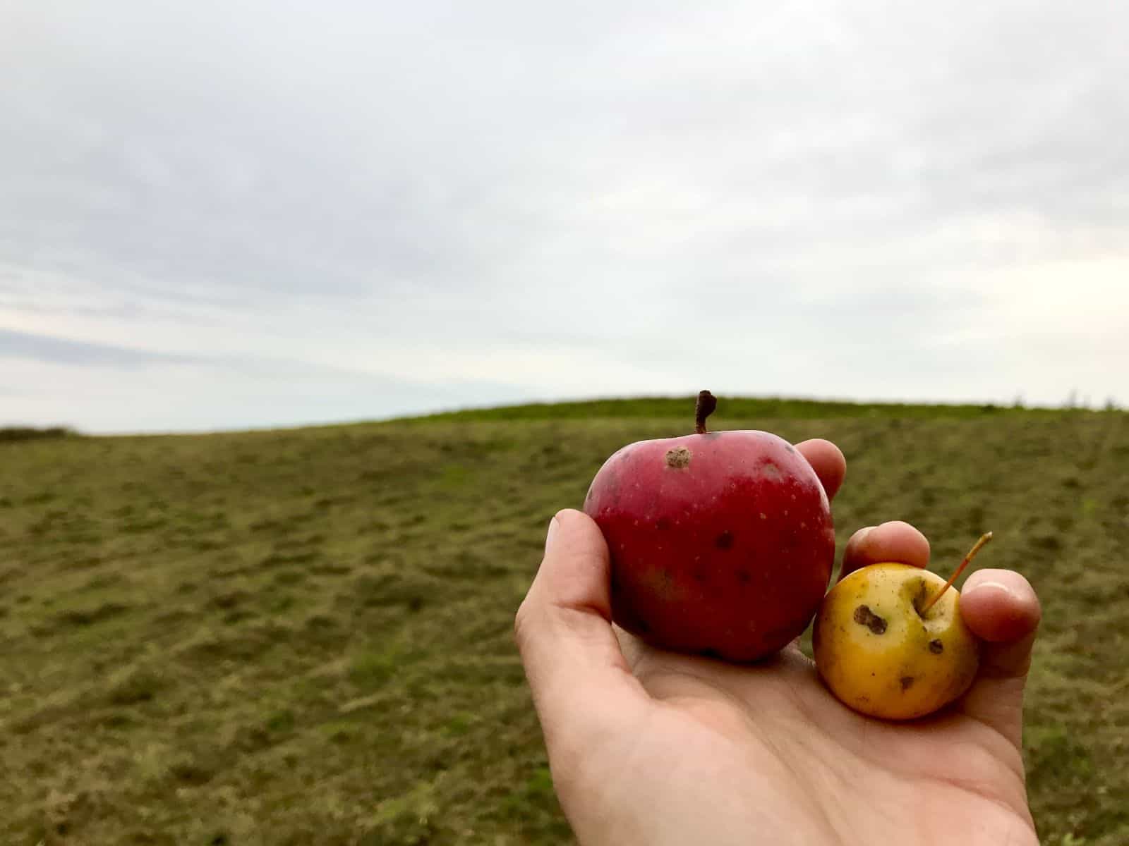 Greenpoint Cidery