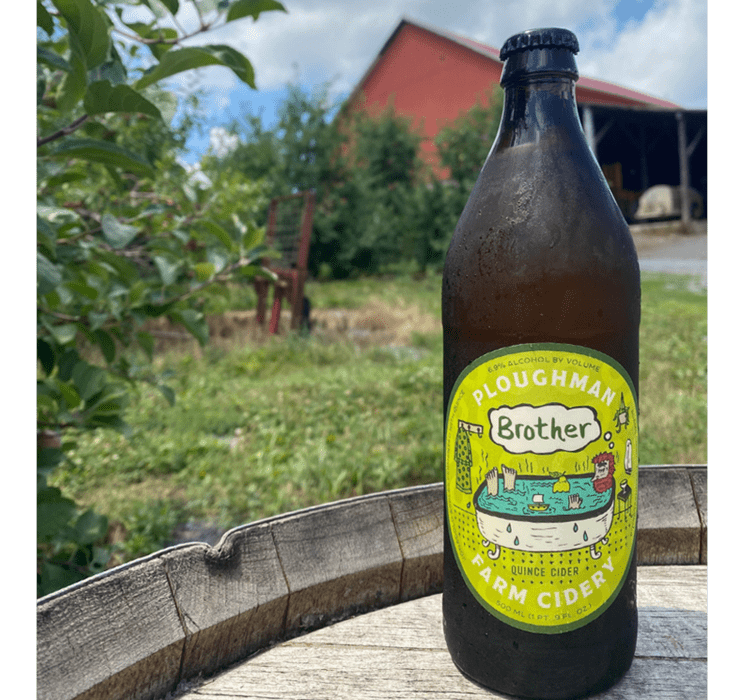 7 Quince Ciders to Try Cider Culture