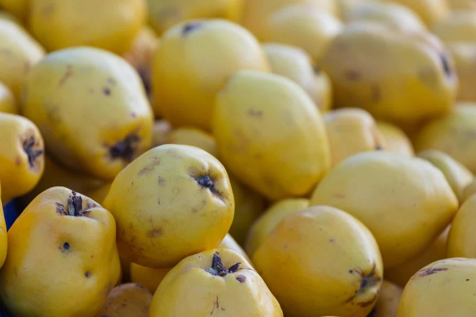 7 Quince Ciders to Try Cider Culture