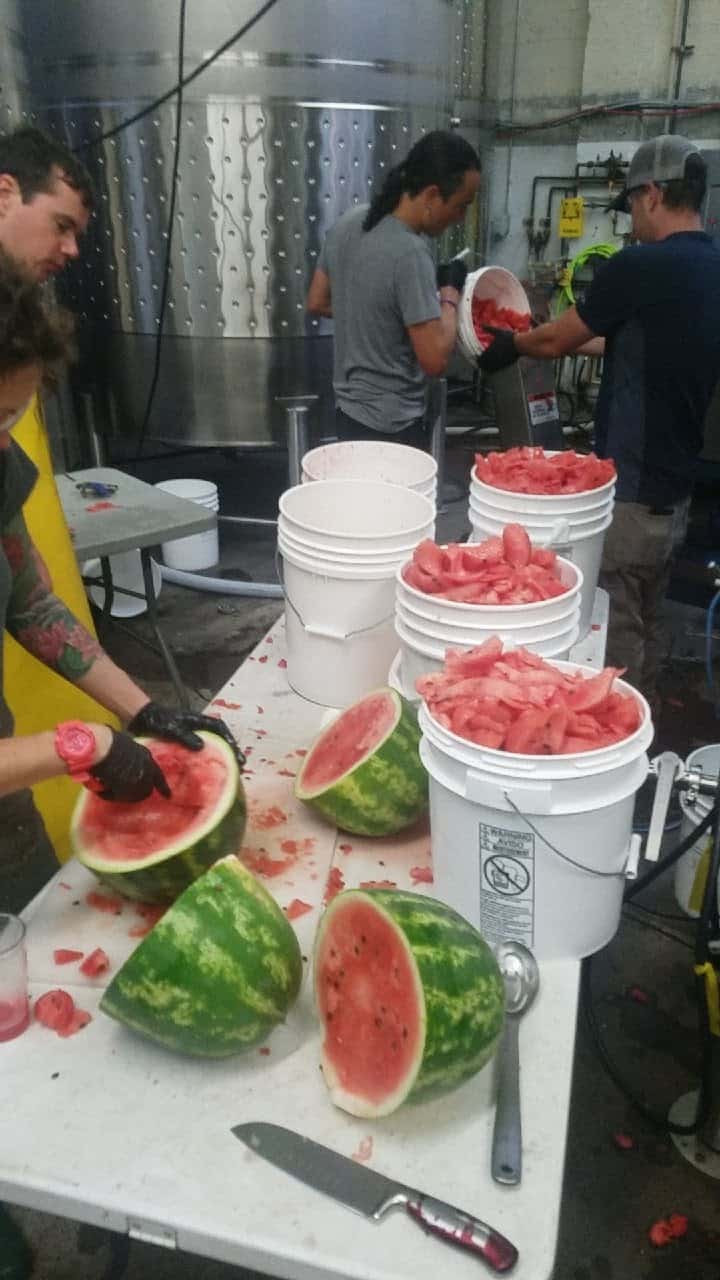 watermelon hard cider