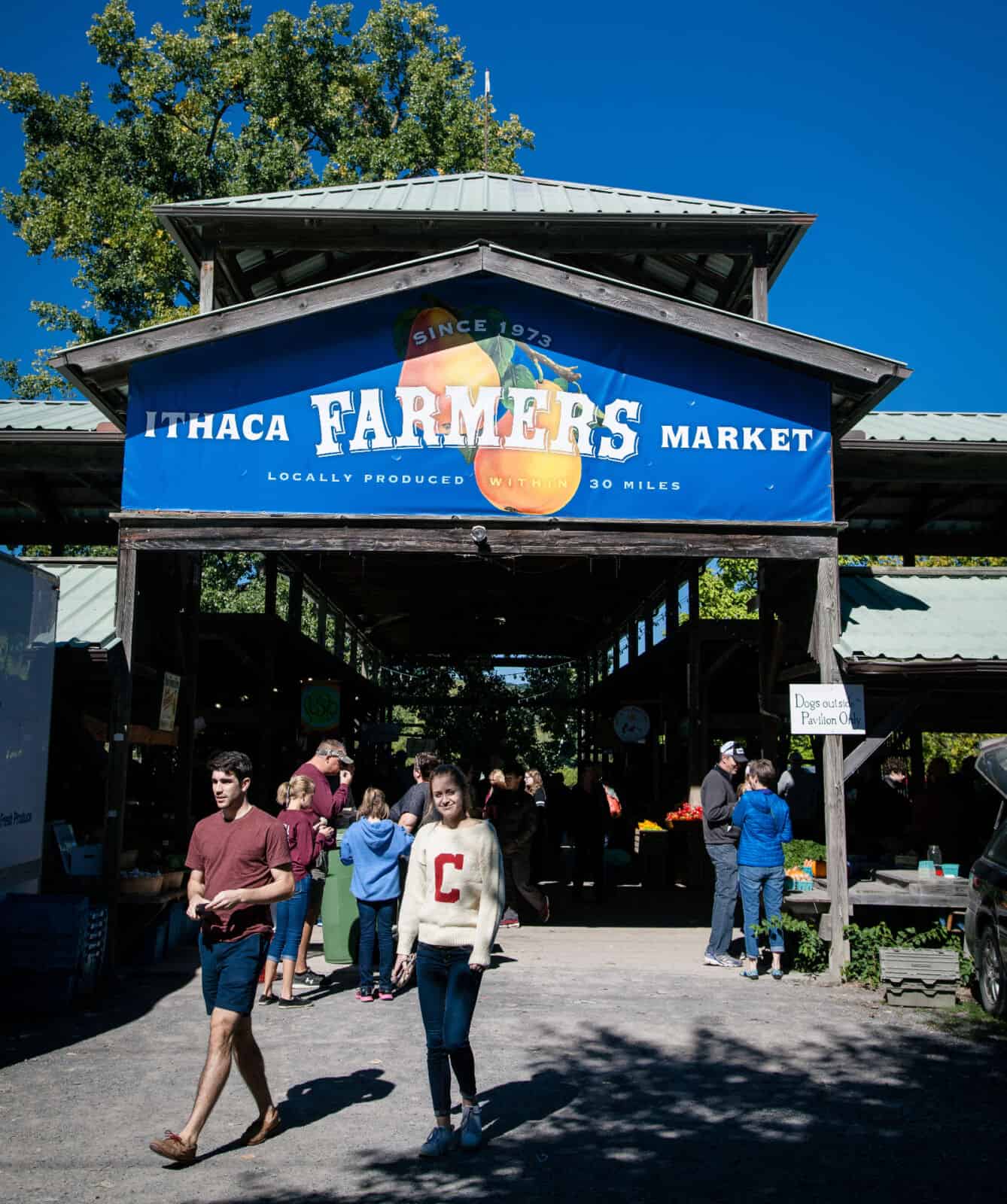 cider in the Finger Lakes