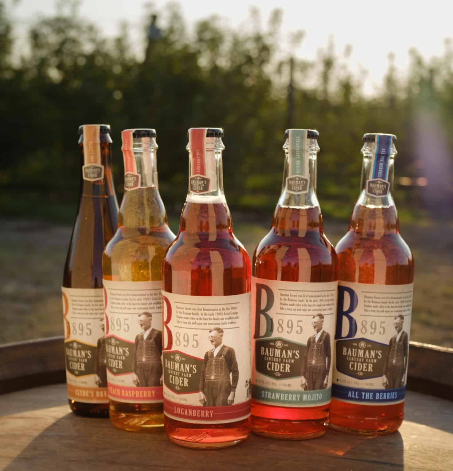 Cider Travels Drinking Cider in Portland, Oregon Cider Culture