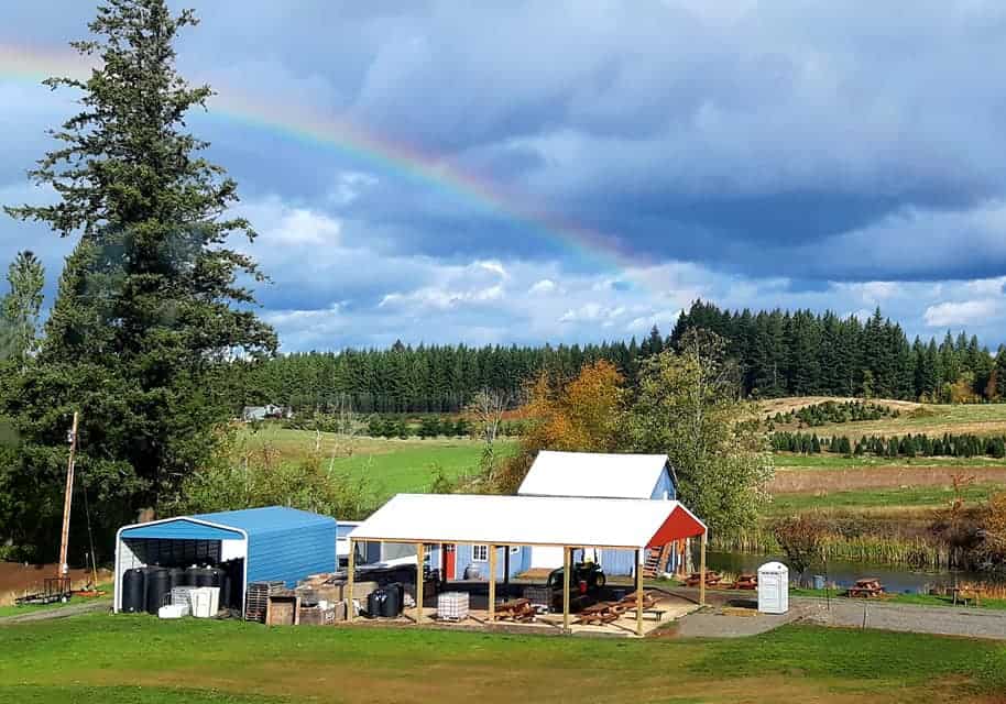 cider in Portland