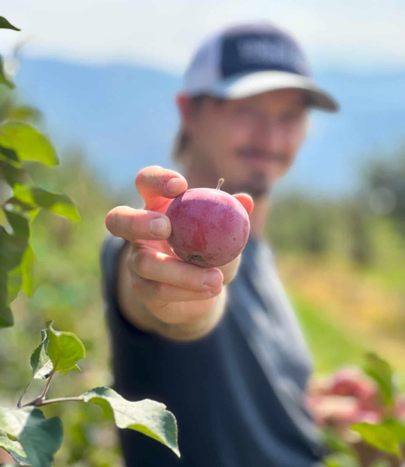 Northwest Cider Club