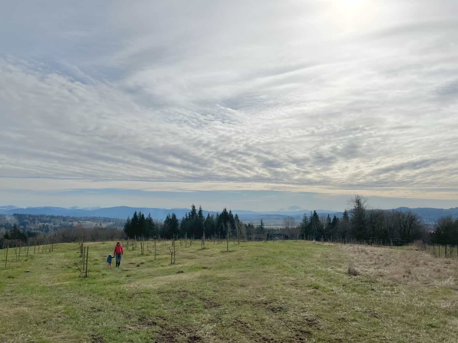 Northwest Cider Club