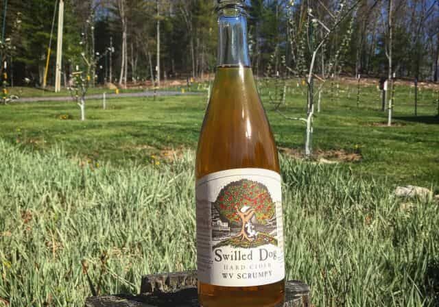 Swilled Dog Cider