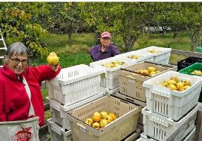 Cider Chat