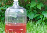 381: DIY Cider Making for Beginners