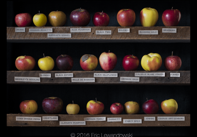 Photo credit: Eric Lewandowski; Tags: apples, artwork, photography, prints, photos