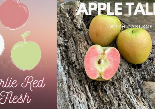 AppleTales_AirlieRedFlesh_Web