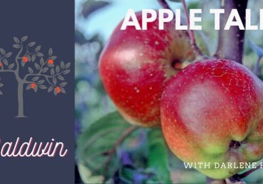 AppleTales_Baldwin_Web