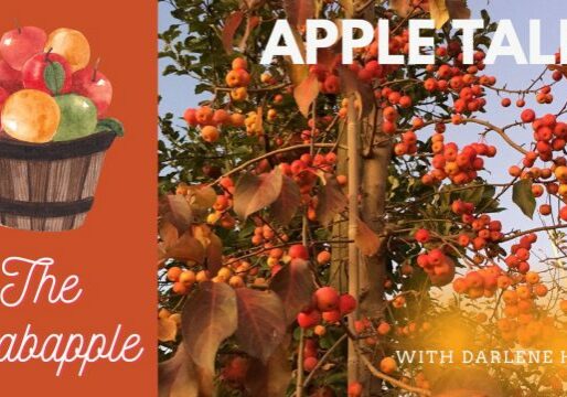 AppleTales_CrabApple_Web-1