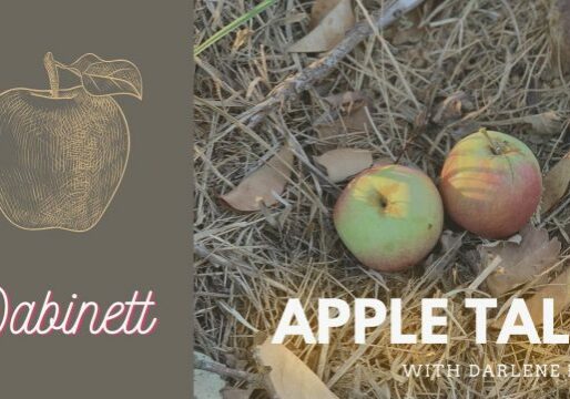 AppleTales_Dabinett_CC_Web