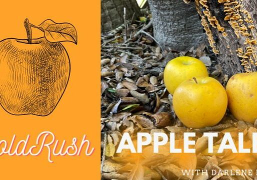 AppleTales_GoldRush_Web_Final