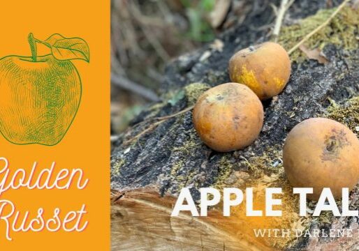 AppleTales_GoldenRusset_CC_Web