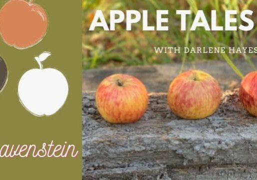 AppleTales_Gravenstein_Web