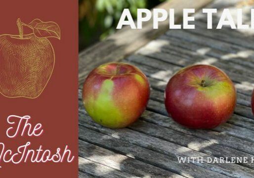 AppleTales_McIntosh_Web